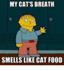 my-cats-breath-smells-like-cat-food-27417793.png