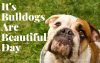 It-s-Bulldogs-Are-Beautiful-Day (2).png
