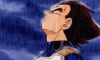 IMG_0859.gif