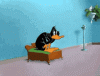 1731096715587.gif