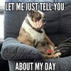 let-me-just-tell-you-about-my-day-bulldog-meme.jpeg