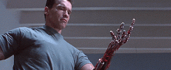1000001820.gif