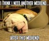 i-think-i-need-another-weekend-after-this-weekend-bulldog-meme.jpg