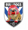bulldogs.png