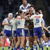 Belmore Dog