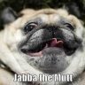 Jabba the Mutt