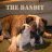 The Bandit
