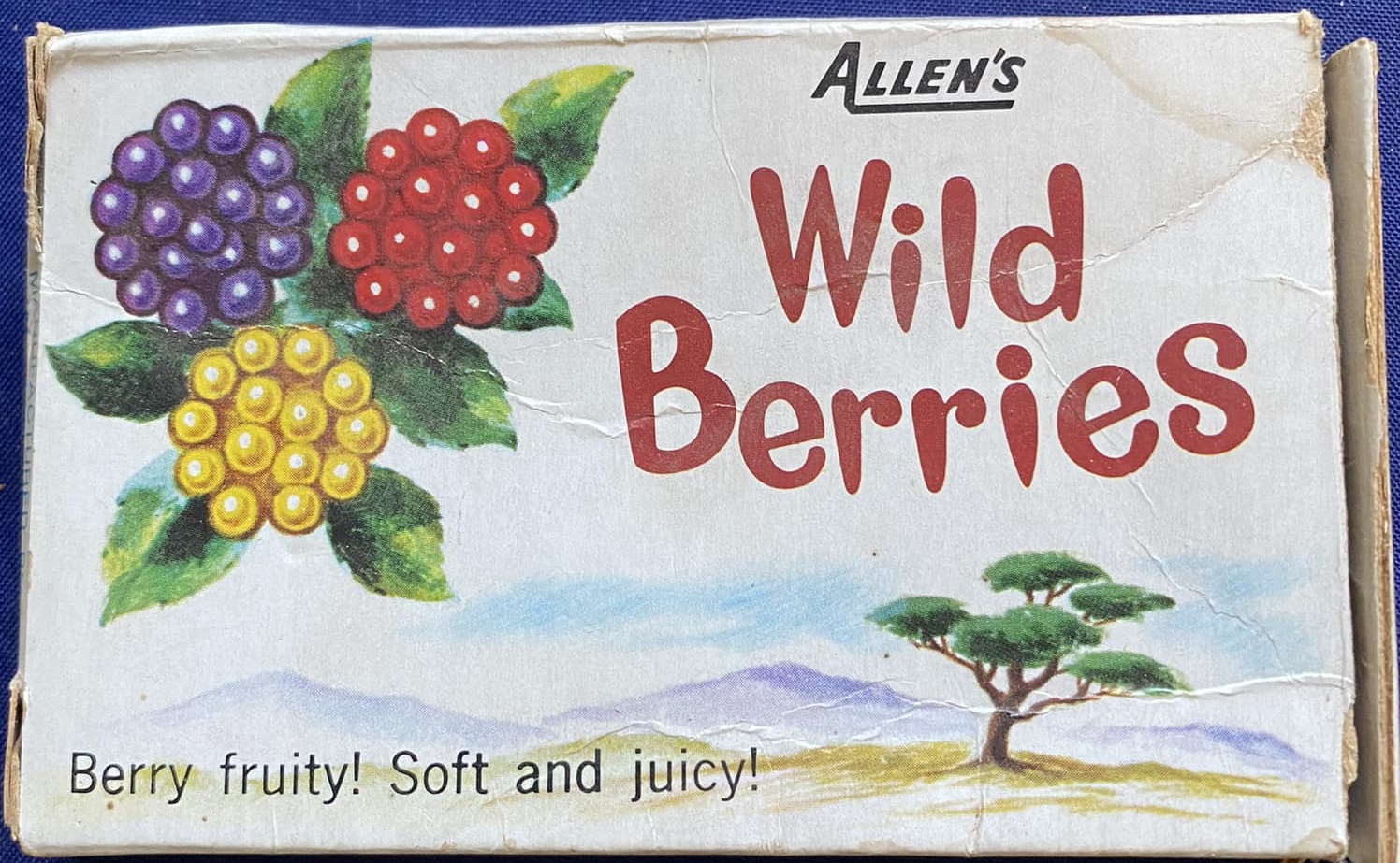 Allens wild Berries.jpg