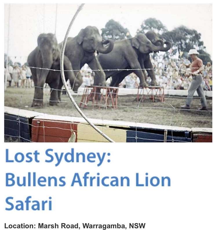 Bullens Lion Safari.jpg