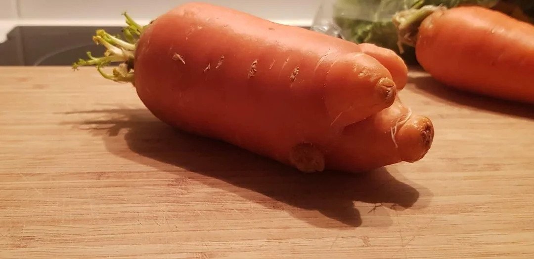 Carrot Pig.jpg