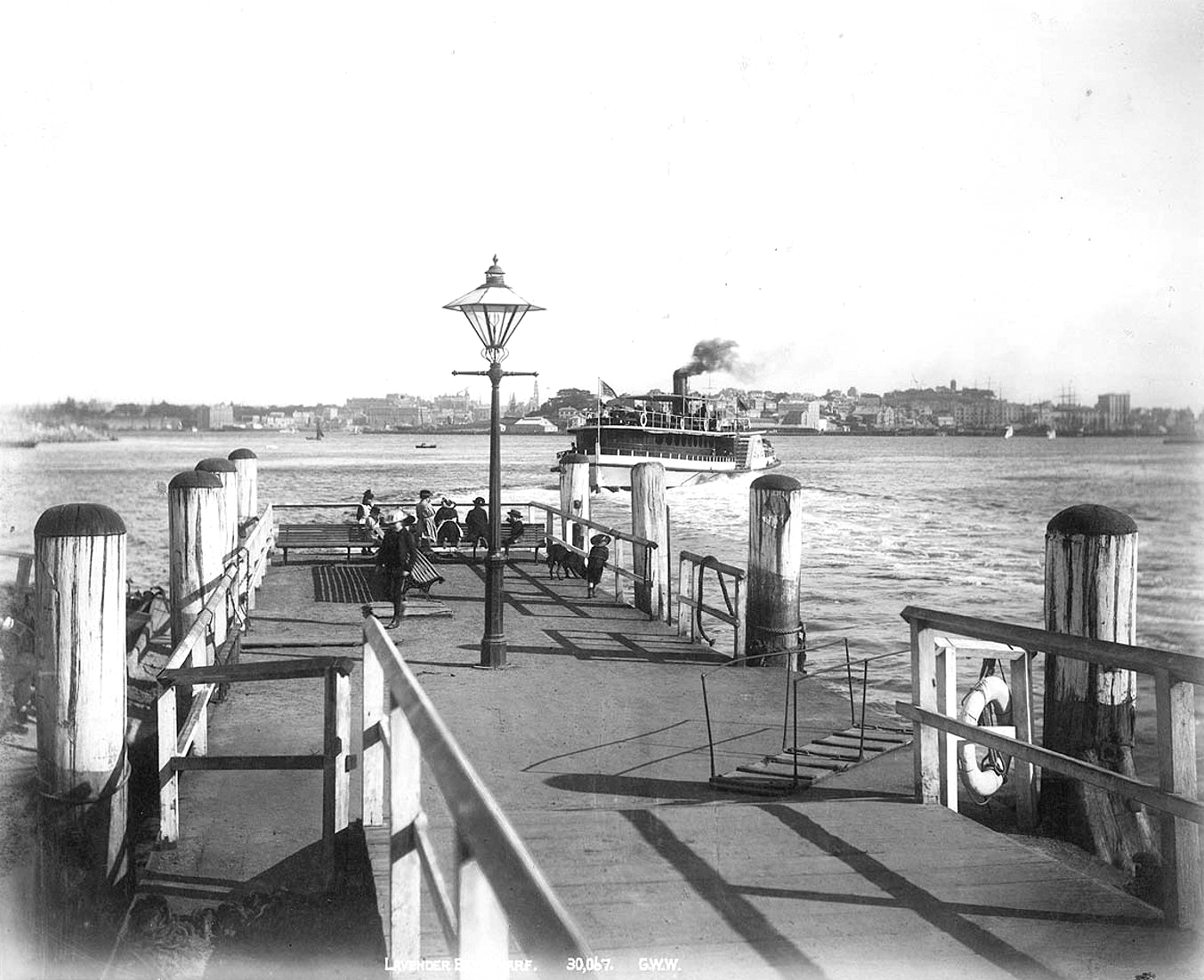 Lavender Bay Wharf 1892.png
