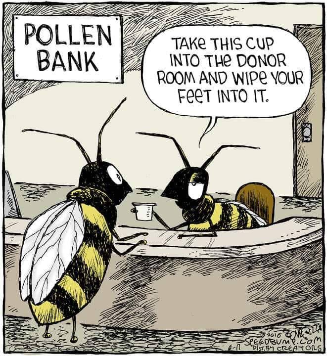 Pollen Bank.jpg