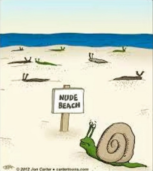 Snail beach.jpg