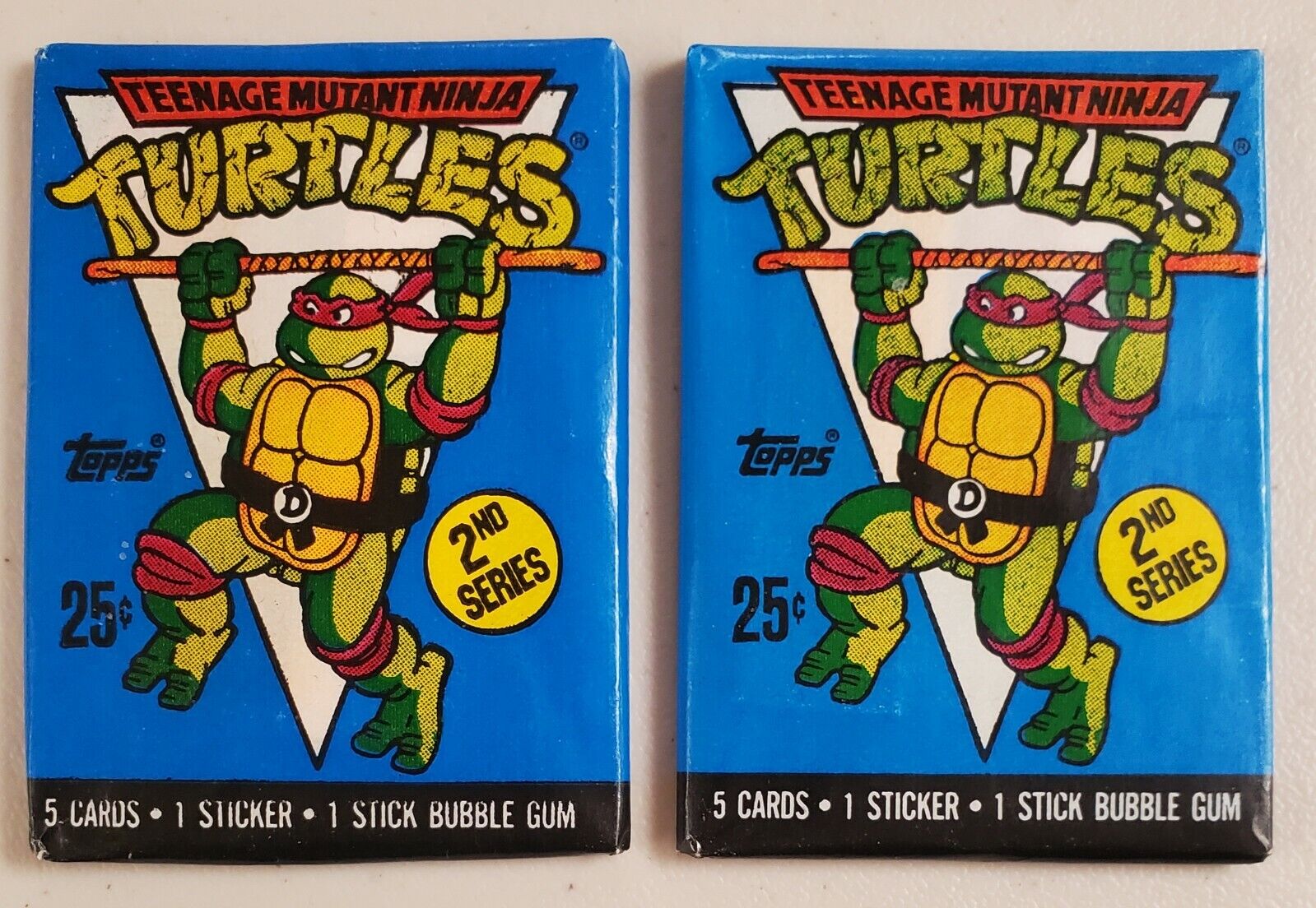 Turtle cards.jpg