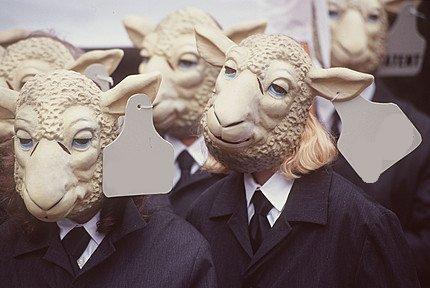 Humans-Really-Behave-Like-Sheep-in-a-Herd-2.jpg