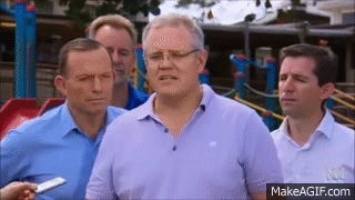 giphy.gif