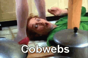 cobwebs-drop-dead-fred.gif