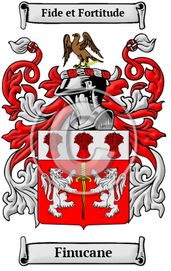 www.houseofnames.com
