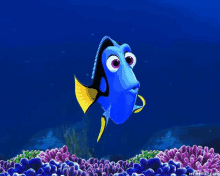 gif.gif