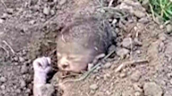The baby was caked in mud and dirt. Picture: SWNS/Mega