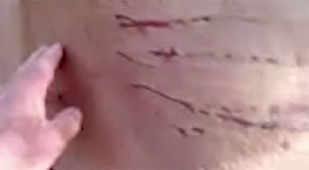 One researcher said the pattern of the scratches was consisent with cougar claw marks in the US. Source: Youtube/ PantherPeople